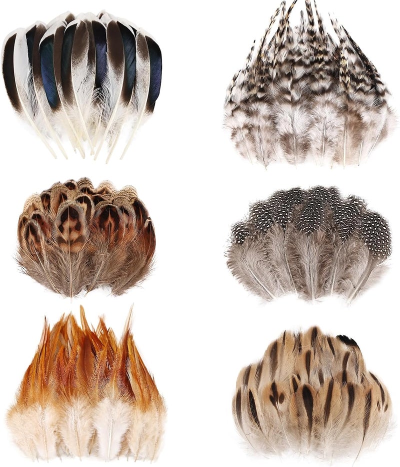 MehelloFeather Store Natural Pheasant Feathers 6 Style Craft Feathers for Dream Catcher Decoration Craft Natural Mixed Feathers (180Pcs) - Image 1